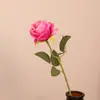 Flor de Simulación Flor Individual Rosa Anna Decoración de Mesa de Comedor Arte Floral Salón de Bodas Flor Suave Fotografía de Flores Ramo de Flores Flor Artificial Transfronteriza