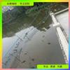 Rede de interceptação ecológica projeto de reparo de corpo de água rede anti-incrustação de partículas de lixo Pequim Xangai Hangzhou Tianjin rede divisória