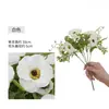 Campanilla de Viento Amapola Flor Artificial Gama Alta Realista Hotel Decoración Suave Decoración del Hogar Decoración de Bodas Transfronterizo Modelo Más Vendido