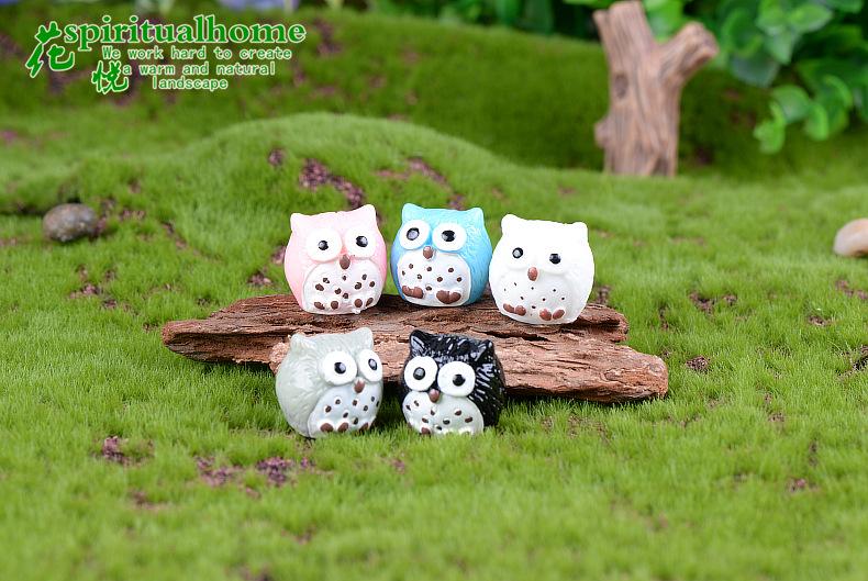 小号 5色猫头鹰 (5)