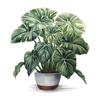 Comercio exterior tropical fresco romántico cálido flor dormitorio inodoro decoración del hogar pegatina de pared autoadhesiva venta al por mayor transfronterizo