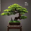 Novo Bonsai Artificial Estilo Chinês Inspirado em Zen Pinheiro Acolhedor e Pinheiro Arhat para Decoração de Escritório, Sala de Estar e Hall de Entrada