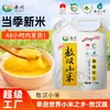 Nova safra Xichuang Aohan painço amarelo, Jinmiao K1 painço de Chifeng, 1,5kg mingau de painço, painço amarelo pequeno integral atacado