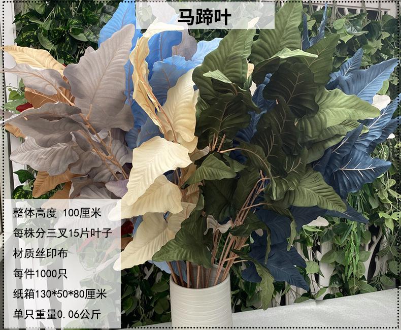 产品信息图-1.jpg