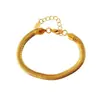 Pulsera de Lujo Ligero Europeo y Americano de Nicho Cadena de Serpiente Plana Gruesa Ancha de Acero de Titanio Cadena Clavicular Avanzada de Nicho para Mujer