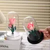 Luz de Noche Creativa Tulipán Flor Eterna Transfronteriza Adornos Decorativos Regalo de Cumpleaños Regalo del Día de San Valentín Chino Atmósfera