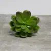 Venda Quente Transfronteiriça Cabeça de Flor Suculenta Simulada DIY Planta Flor Artificial Criativa Estilosa Planta Verde Decoração de Casa Fabricante da Fonte