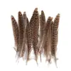 80 Tipos de Penas Naturais de Faisão, Penas Reais, Decorações Nativas Americanas, Acessórios DIY, Acessórios de Cabelo, Peças para Brinquedo de Vara para Gato