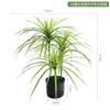 Planta Verde Artificial de Luxo Leve Madeira do Milênio Decoração de Sala de Estar Planta em Vaso Flor Artificial Biônica Árvore Sangue de Dragão Ornamentos de Chão para Interior