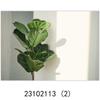 Ins pintura decorativa de paisaje arte minimalista moderno pintura de decoración de plantas curativas núcleo al por mayor