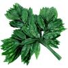 Ramas artificiales, hojas de mango, hojas de uva artificiales, arce hermoso, hojas falsas, decoración, decoración, árboles falsos