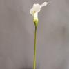 Malha EVA Simulada Lírio-calla Grande e Lírio-calla Modelo Moderno para Casa Quarto de Modelo Decoração de Hotel Adereços para Fotos de Casamento