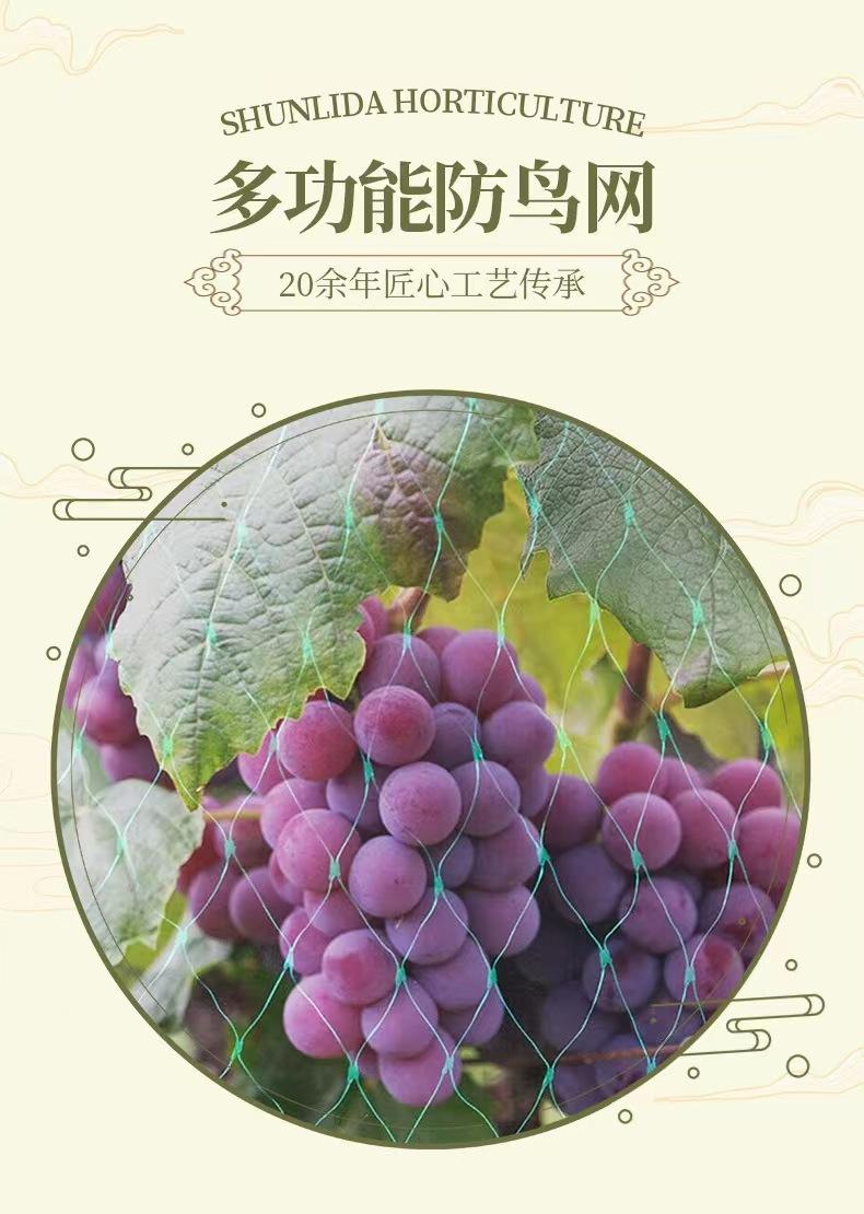微信图片_20241015104004.jpg