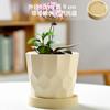 Vaso de Flores Cerâmico Estilo Ins Nórdico fosco simples para interior Phalaenopsis tulipa verde vaso grande para plantas verdes