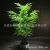 Estilo Nórdico Serie Roja y Rosa Set Combinado Planta Simulada Hoja de Piano Ficus Hoja de Tortuga Árbol Bananero del Viajero