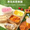 Caja de picnic desechable para salidas de primavera, caja de embalaje para cortar frutas al aire libre, lonchera, caja de camping, lonchera ligera para sushi de frutas