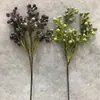 Algas Pinus de Fruta Coral Sul-Africana Simulada Coral Pequeno Plantio de Cabelo Paisagismo Decorativo Flor de Varanda para Arranjo com Frutas