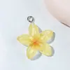 5 Tipos de Pingentes Coloridos Transparentes de Flor de Cerejeira de Cinco Pétalas Flor de Frangipani Acessórios de Resina para DIY Chaveiro Charms para Bolsa