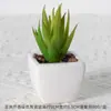 Suculentas Simuladas Personalizadas Cerámica Bonsái Plantas Verdes Escandinavas Adornos Hogar Interior Sala de Estar Flores Falsas Suculentas Plantas en Maceta