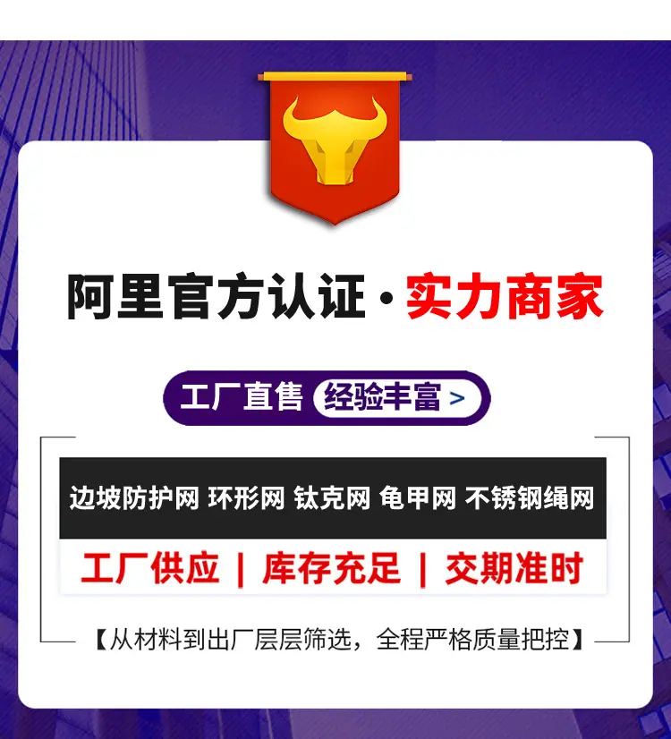被动防护网1_01.jpg