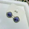 Pendientes de Cristal Azul para Mujer 2025 Nuevo Tendencia Diseño de Nicho Gama Alta Lujo Ligero Celebridad de Internet Pendientes de Otoño e Invierno