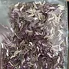 Cristal Roxo Mini tamanho Pequeno Joias para Nail Art Forma Plana Diamante para Unha Diamante Gotas d'Água Amor Quadrado Material DIY