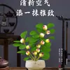 Árbol Bodhi en Maceta Pequeño Bodhi de la Esperanza Bonsái con Fruta Zen Chino Adornos de Escritorio Plantas Verdes Creativas de Interior
