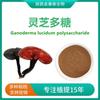 Extracto de Ganoderma lucidum con 30% de polisacárido de Ganoderma lucidum Extracto de Ganoderma lucidum Triterpeno de Ganoderma lucidum Polvo de Ganoderma lucidum soluble en agua 1 kg/bolsa Materias primas para productos de cuidado de la salud