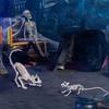 Decorações de esqueleto de Halloween Dragão voador Gato Aranha Crânio osso ornamentos Esqueleto animal de plástico adereços de layout