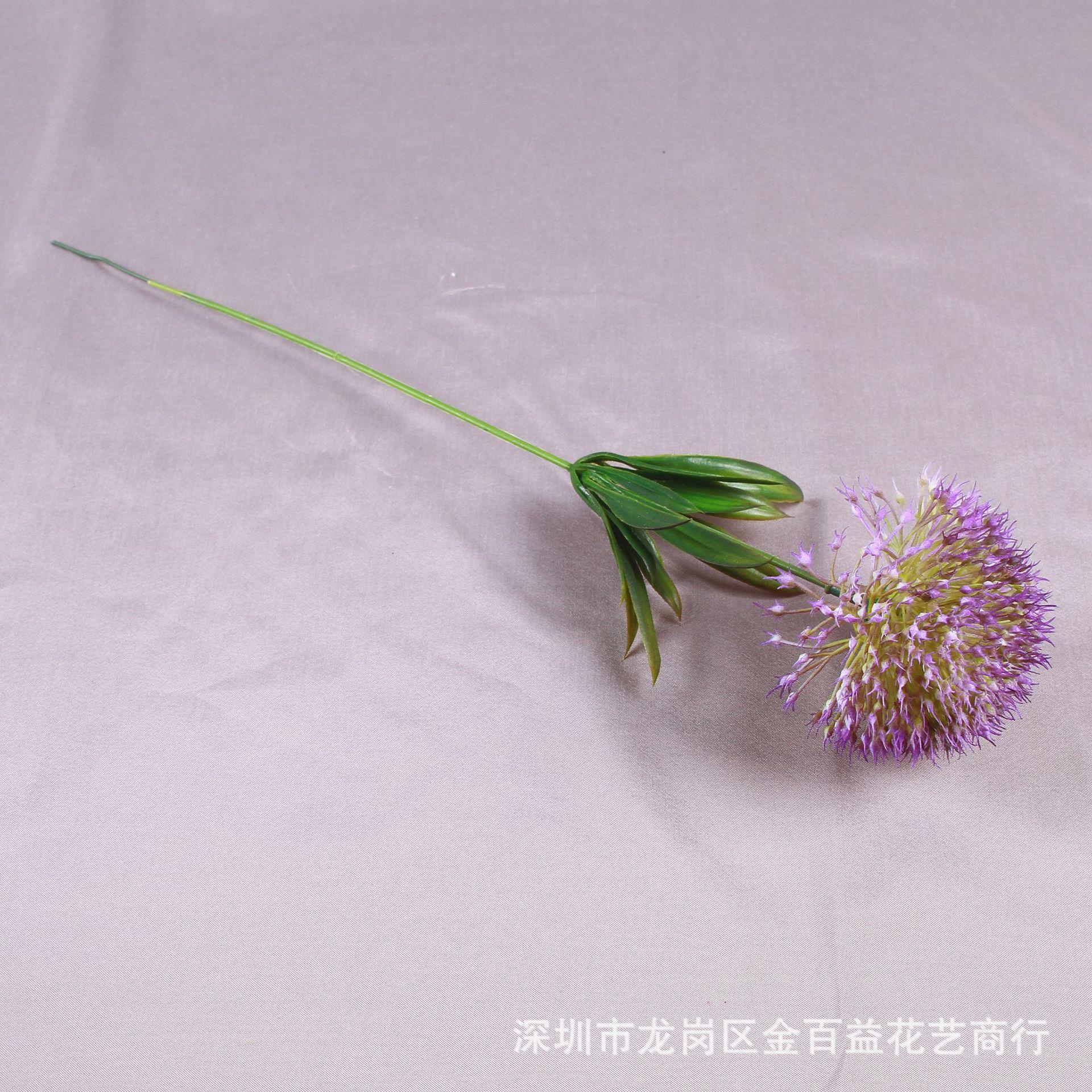 IMG_8543_副本.jpg