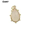 WT-P1974 Exquisite Gota d'Água Colorida Colorida Multicor Opcional Pedra Lápis Lazúli Pó de Cristal Brincos Pingente Acessórios