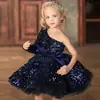 Vestido de Menina, Vestido de Princesa, Vestido de Noite de Aniversário Infantil com Lantejoulas para Apresentadora, Vestido de Performance Brilhante de Natal para Meninas