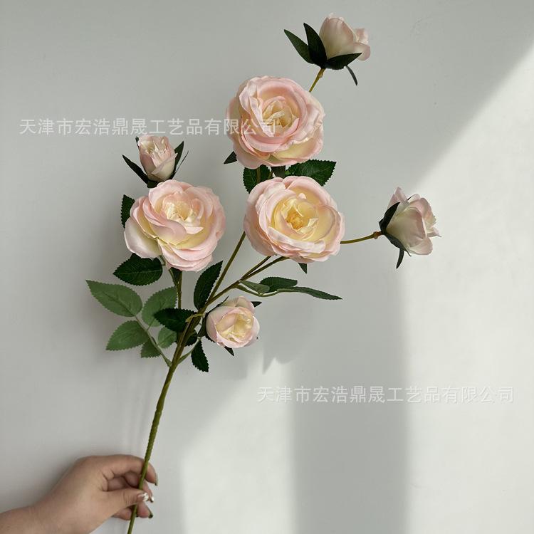 微信图片_2023030918222310_副本