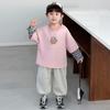 Conjunto de Camiseta Falsa de Dos Piezas para Niños Otoño 2025 Nuevo Elegante Moderno Genial Sudadera para Niño Pequeño Atuendo de Otoño