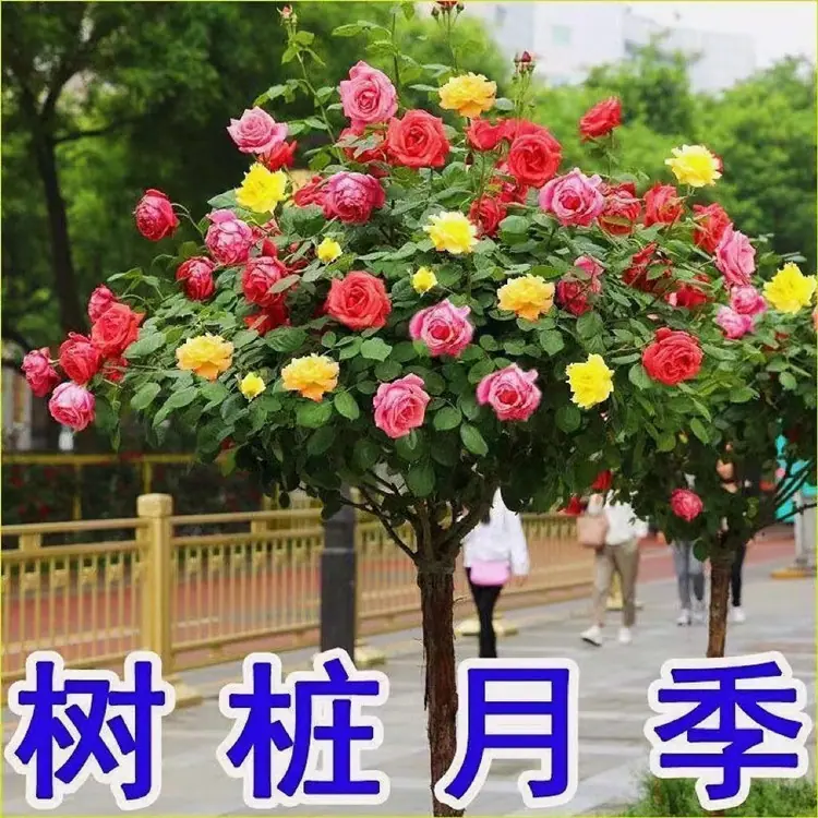 微信图片_20221024194058