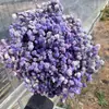 Gipsófila Flor Eterna 120g Caja de Material de Flor de Gipsófila Eterna Flor Flotante Flor Prensada Flor Hecha a Mano Ramo de Flores Eternas