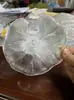 Lámpara Colgante de Hoja de Vidrio para Sala de Estar Accesorios de Lámpara de Cristal Piezas para Bricolaje Iluminación del Hogar Pantalla de Lámpara Vidrio Piezas Sueltas Accesorios Juego Completo