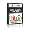Adesivo Muscular e Ósseo Tongluo, Adesivo para Coluna Cervical, Adesivo de Artemísia Herbal, Bálsamo para Articulações, Dropshipping de Comércio Exterior