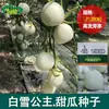 Semillas de Melón Blancanieves Huerto de Campo Jardín de Verduras Dulce Crujiente Jugoso Pulpa Gruesa Semillas de Melón Semillas de Melón Fruta