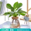 Plantas de cultivo en agua para dormitorio y sala de estar, fáciles de cuidar en todas las estaciones, helecho esparrago y rábano verde en macetas de vidrio rojo para cultivo en agua