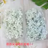 Materiales para Manualidades de Flores Preservadas Nivel A Hoja Pequeña Madera Anna Hortensia Oso Hecho a Mano Marco de Fotos