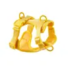 Producto Nuevo Popular Transfronterizo Capa Espacial Impermeable para Pecho y Espalda Perro Grande, Mediano y Pequeño Juego de Cuatro Piezas de PVC Anti-Mordeduras y Anti-Escape