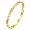 Pulsera de Lujo Ligero con Sentido de Alta Gama, Completamente de Diamante, Hebilla de Acero de Titanio, Moda Femenina Todo Fósforo, Pulsera Exquisita sin Color