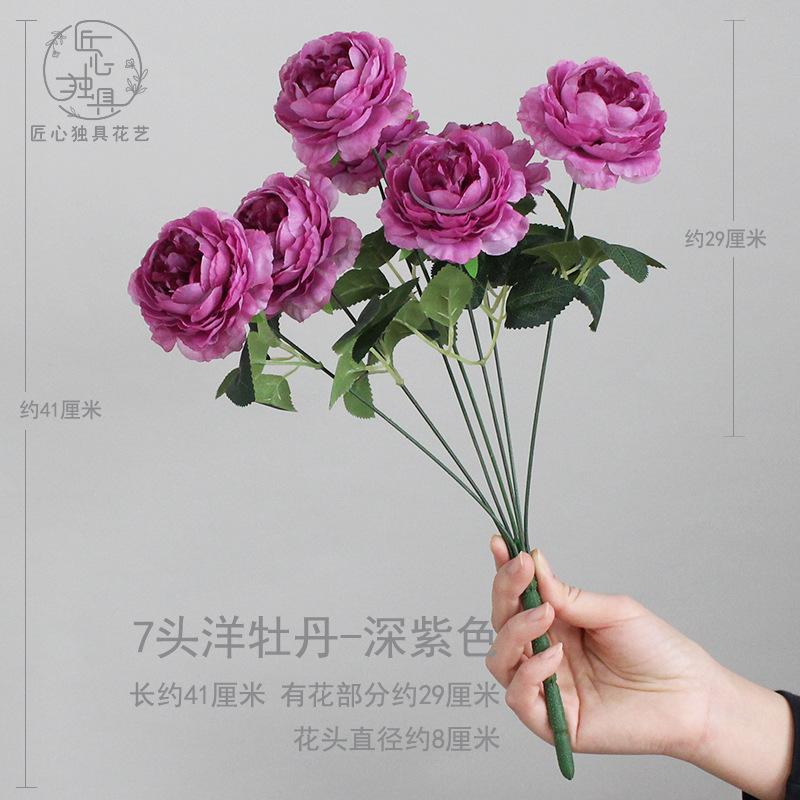 7头洋牡丹-深紫色