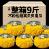 Auténticos Fideos de Castaña de Calabaza Pequeña Sabor Castaña Fresca Calabaza Vieja Japonesa Bebé Mujeres Embarazadas Polvo Pegajoso Caja Completa