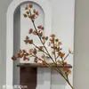 Flores Artificiales, Flores Secas Estilo Wabi-Sabi, Hojas Secas, Frutos de Pipa, Hortensias de Borde Tostado, Materiales Florales Vintage, Frutos de Espino Marítimo, Decoraciones de Mesa, Flores de Seda