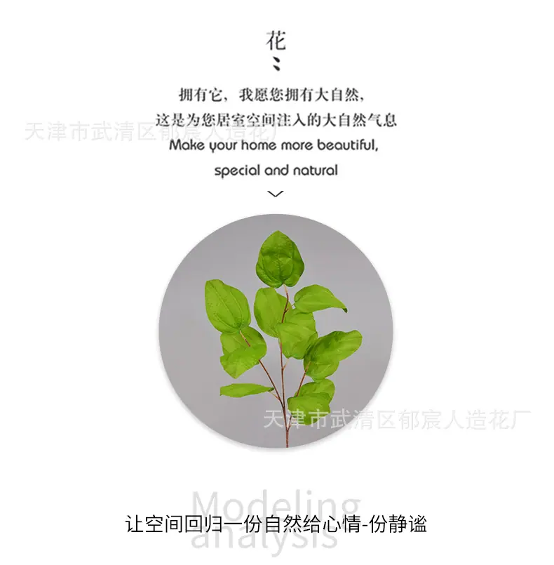 详情_06.png