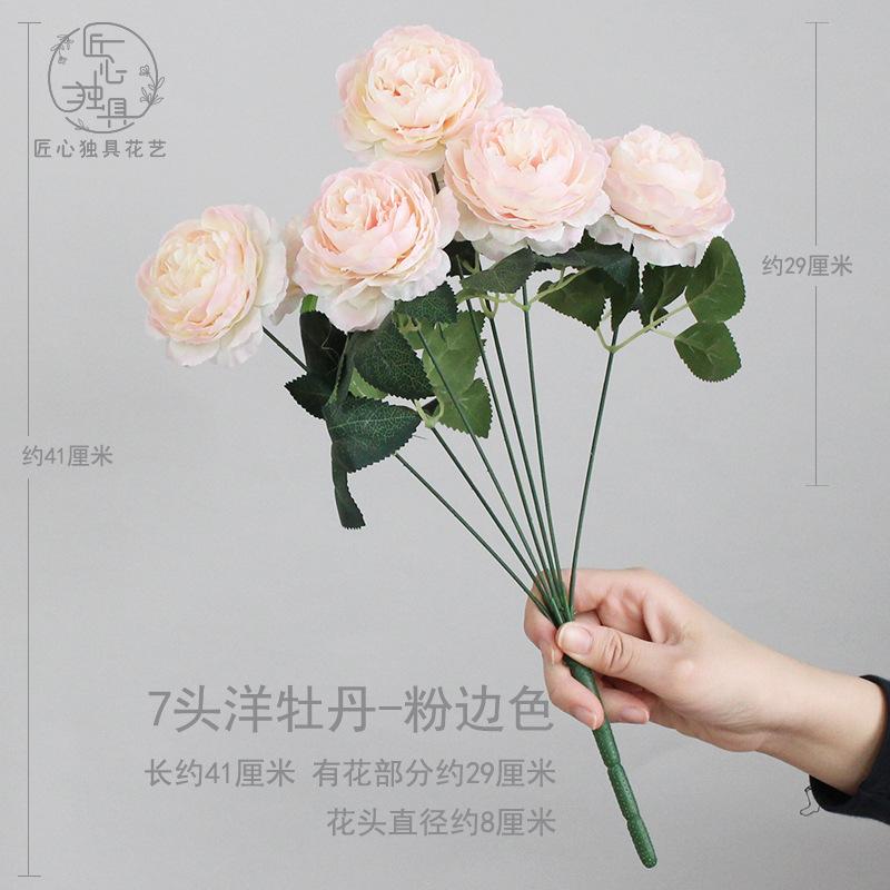 7头洋牡丹-粉边色