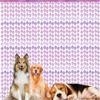 Nuevos suministros para fiesta temática de mascotas garra de gato rosa garra de perro cortina de lluvia telón de fondo para fiesta de cumpleaños de gato y perro