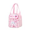 Bolsa de Almuerzo Portátil, Bolsa de Lonchera de Dibujos Animados, Bolsa de Almuerzo para Llevar Comida Fuera, Niños, Estudiantes, Niños Pequeños, Jardín de Infantes, Bolsa de Hielo Aislante